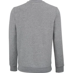 Homme Tecnifibre TEAM SWEATER SILVER