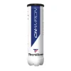 Tecnifibre 1 TUBE CHAMPION - 4 BALLES